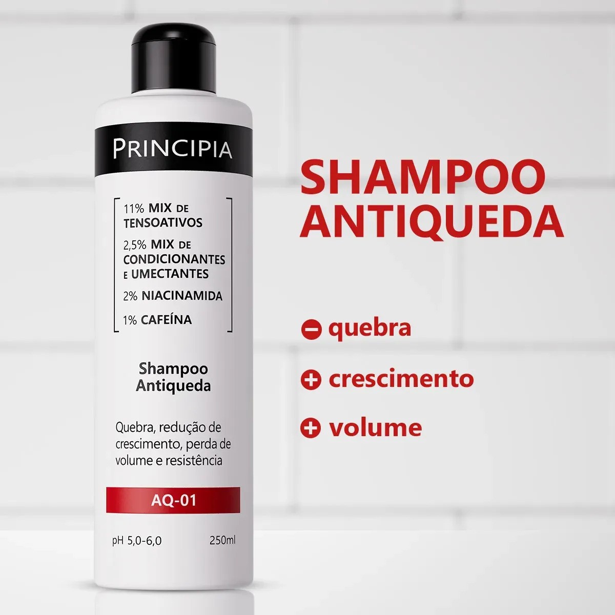 Shampoo Antiqueda AQ-01 250ml Principia