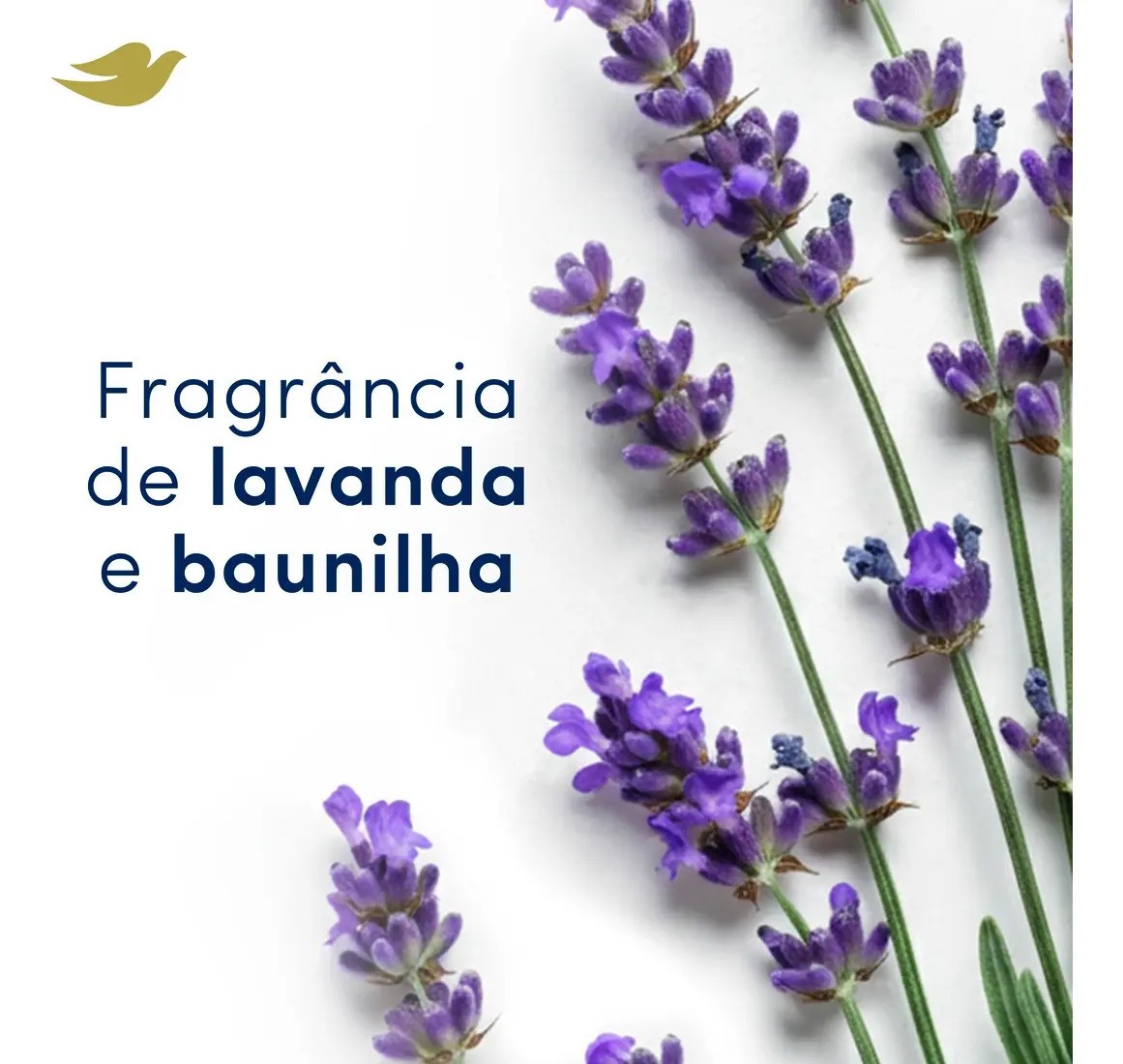 Dove Antitranspirante Roll-On Lavanda e Baunilha 50ml
